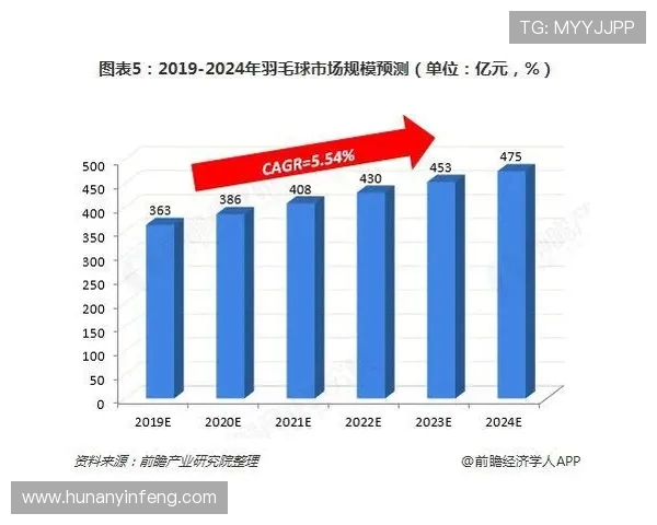 南京乒乓球队个人能力表现数据分析与发展潜力探讨