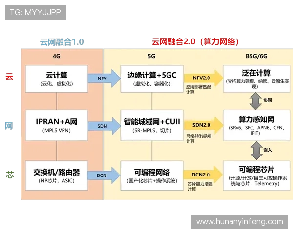 杭州羽毛球队状态对比深度解析与未来发展展望