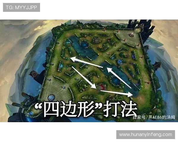 王者荣耀深度解析：RNG战术背后的秘密与团队协作技巧