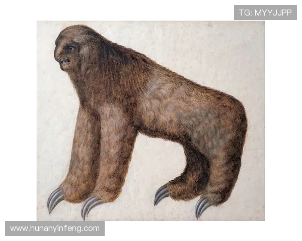 山猫与风暴的精彩对决竞猜分析与策略探讨