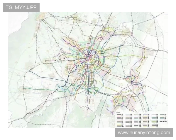 武汉排球队实力解析：从历史成就到未来展望的全面探讨