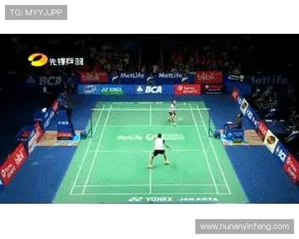 南京羽毛球队控制打法深度分析与战术解析