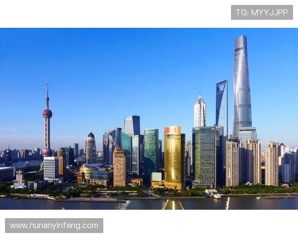 权威发布：全球排球运动员速度与实力综合排名揭晓